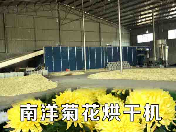 菊花烘幹機