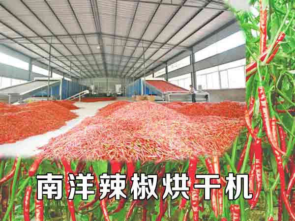 辣椒烘幹機