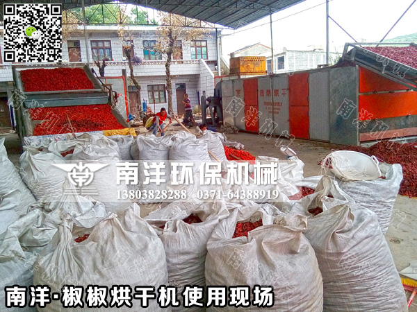 辣（là）椒烘幹機使用現場