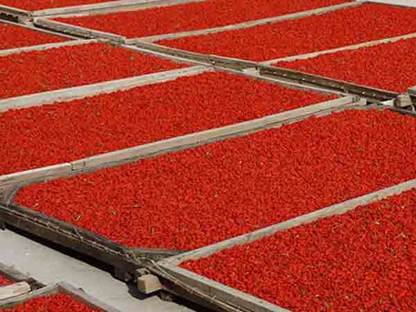 中藥材人工自然晾曬