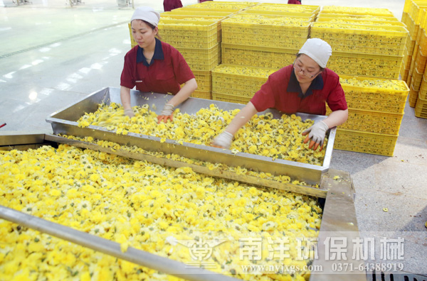 小型菊花烘幹機