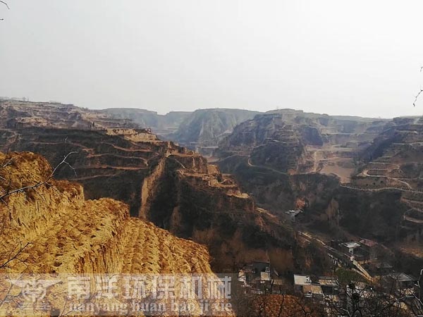 我市義（yì）務植樹基地（dì）