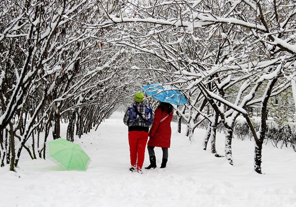 瑞雪兆豐（fēng）年（nián）